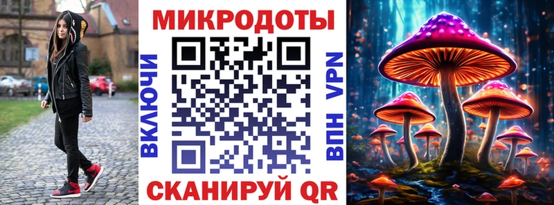Галлюциногенные грибы Cubensis  Покров 