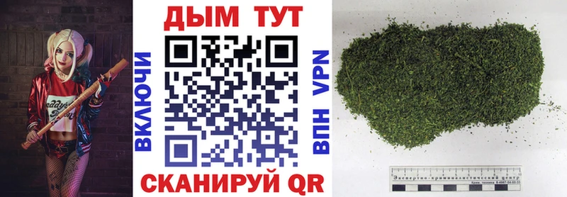 МАРИХУАНА семена  Покров 
